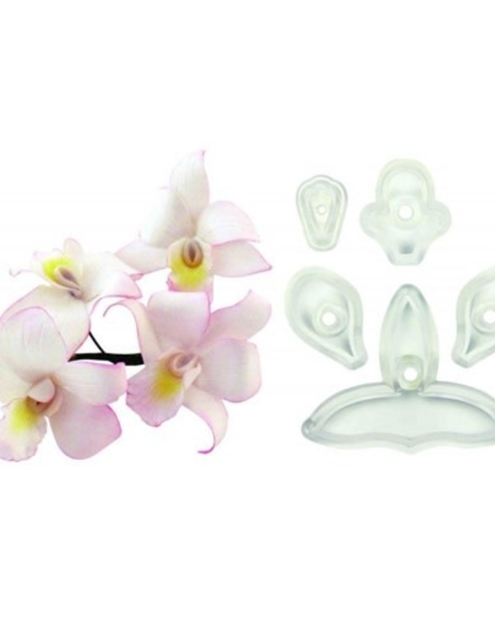 JEM JEM Singapore Orchid Cutter Set/5
