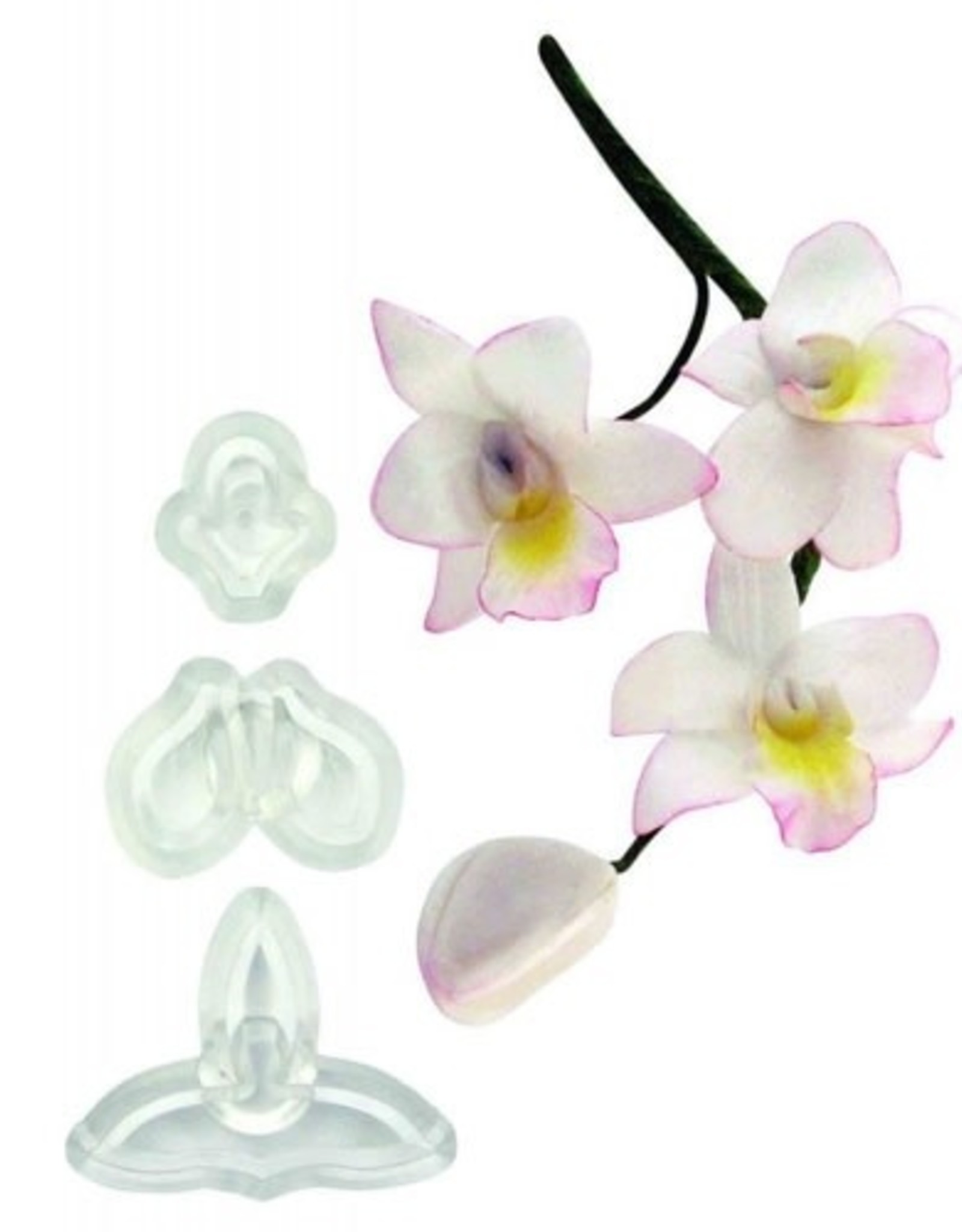 JEM JEM Small Singapore Orchid Cutter Set/3