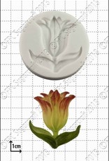 FPC FPC Botanische Tulp