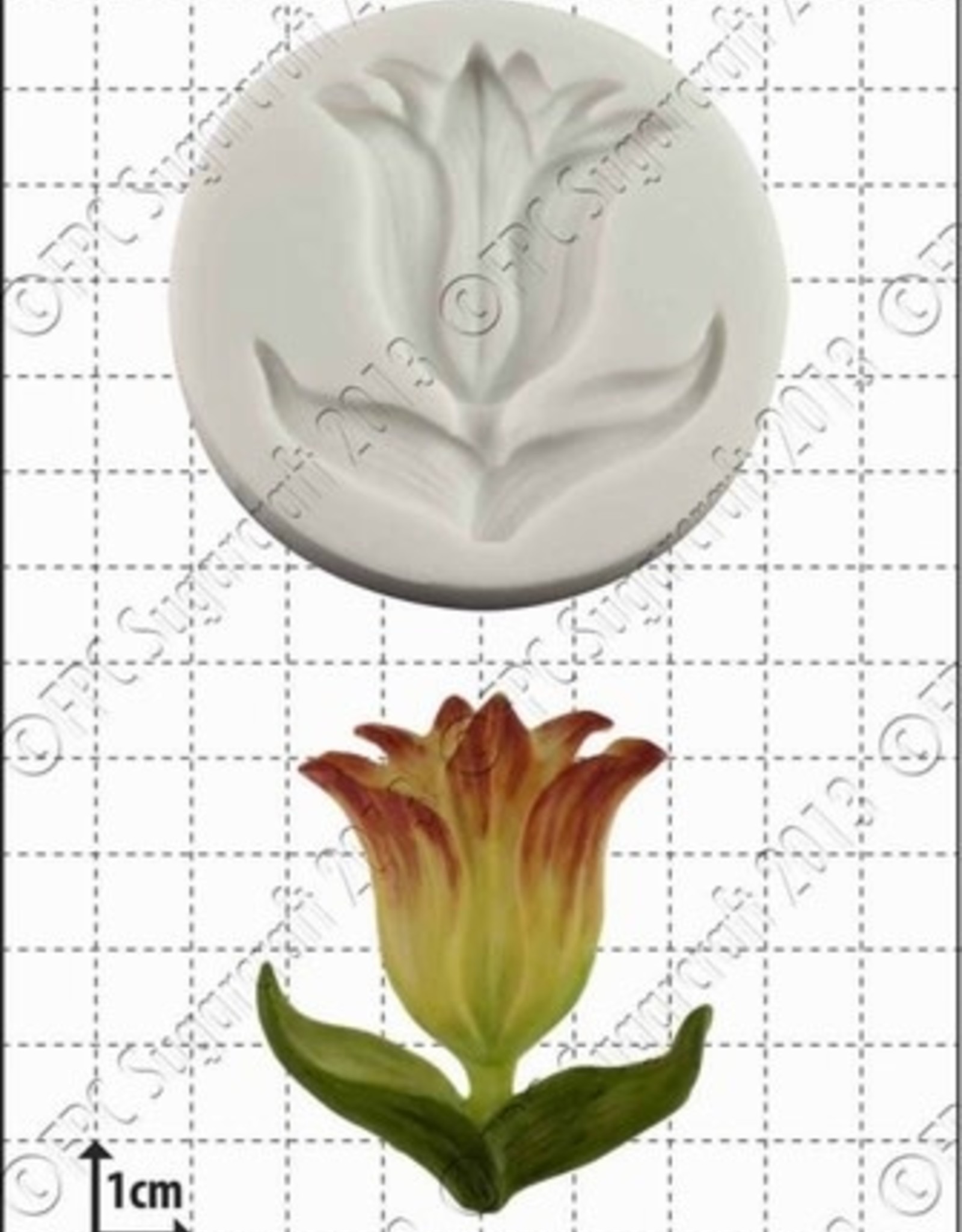 FPC FPC Botanische Tulp