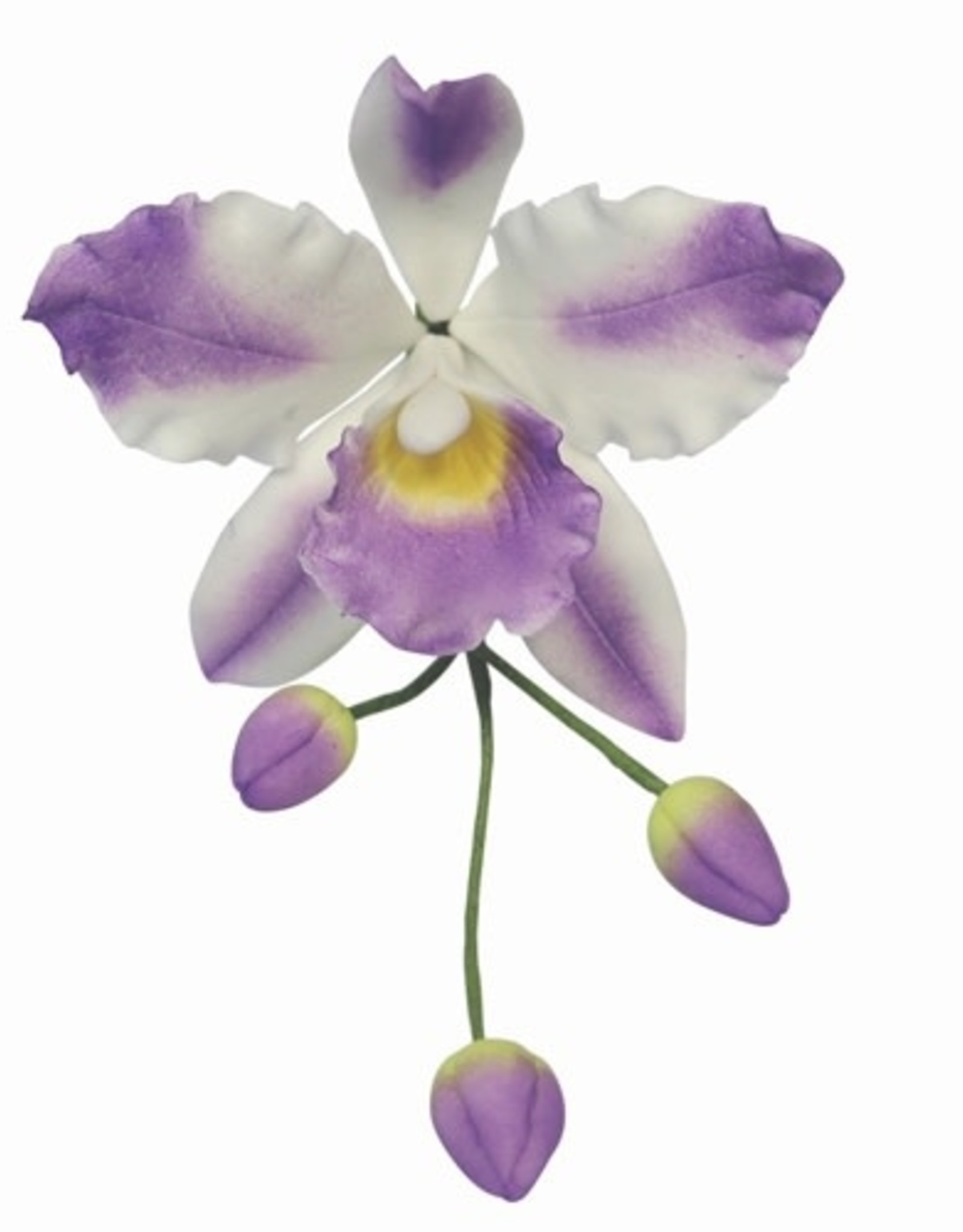 PME PME Orchidee Bloemblad Uitsteker Set/3