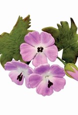 PME PME Meadow Cranesbill (geranium) Cutter set/2