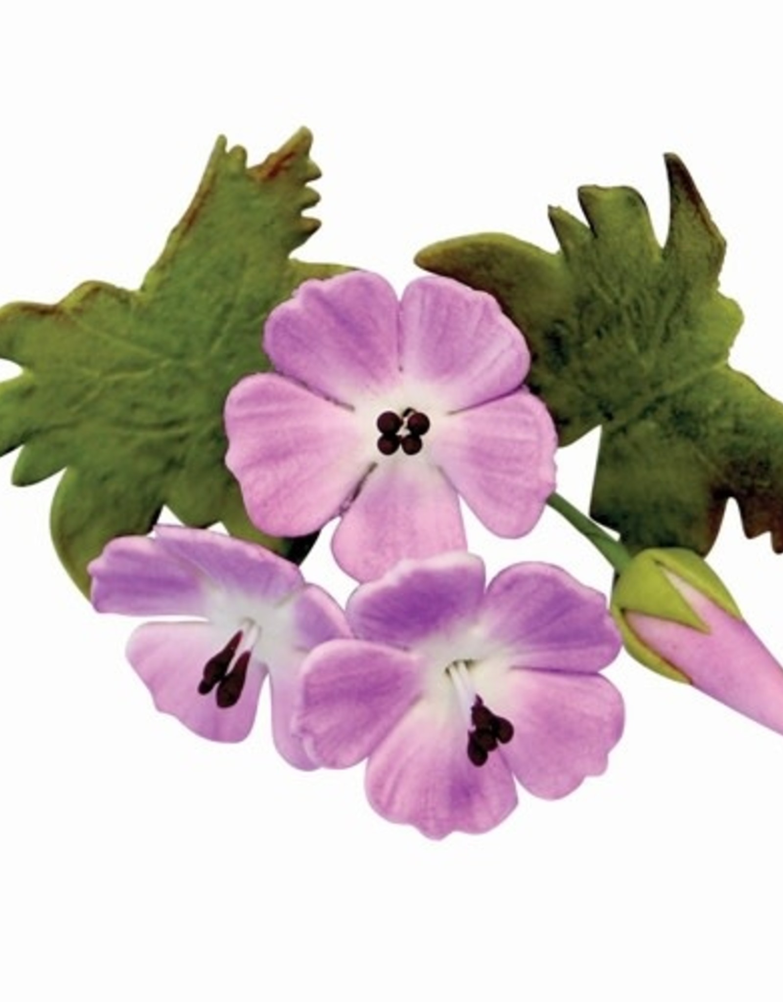 PME PME Meadow Cranesbill (geranium) Cutter set/2