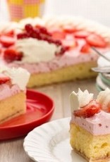 ProCakes ProCakes Mix voor Bavarois Aardbei 100 gr.