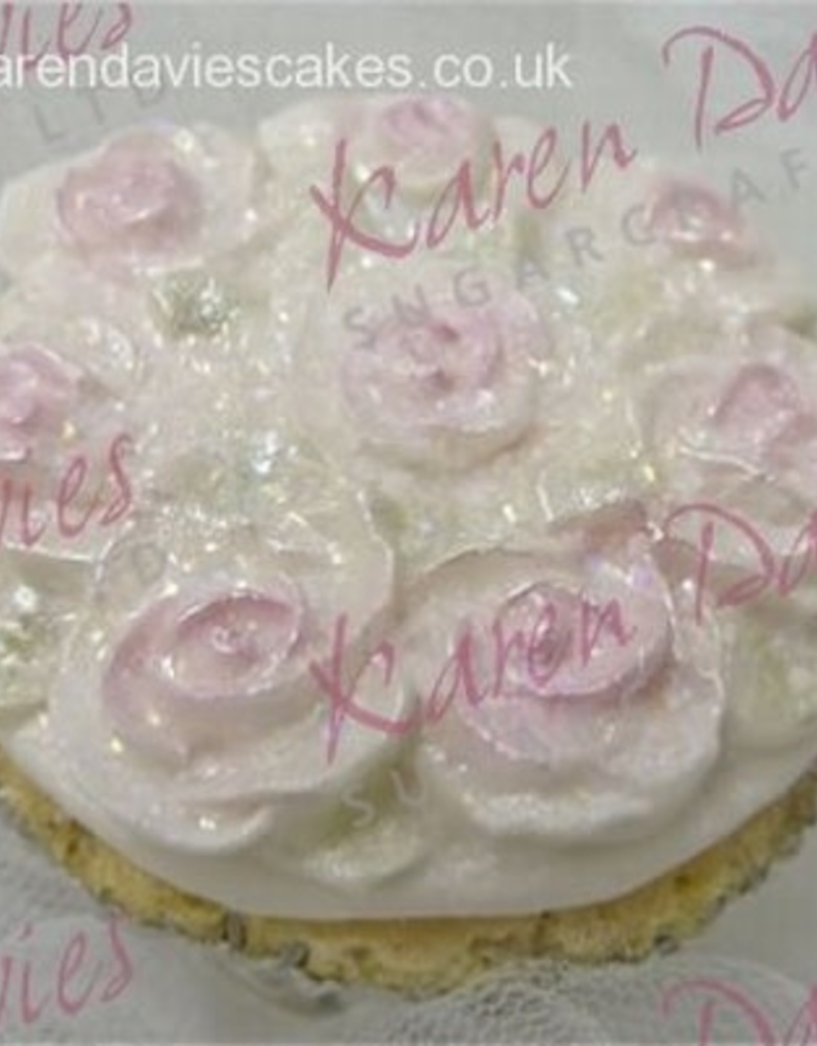Karen Davies Karen Davies Cupcake Top mould - Piped Roses