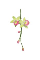 PME PME Cymbidium Orchid Flow/Petal cutter set/2 -MED-