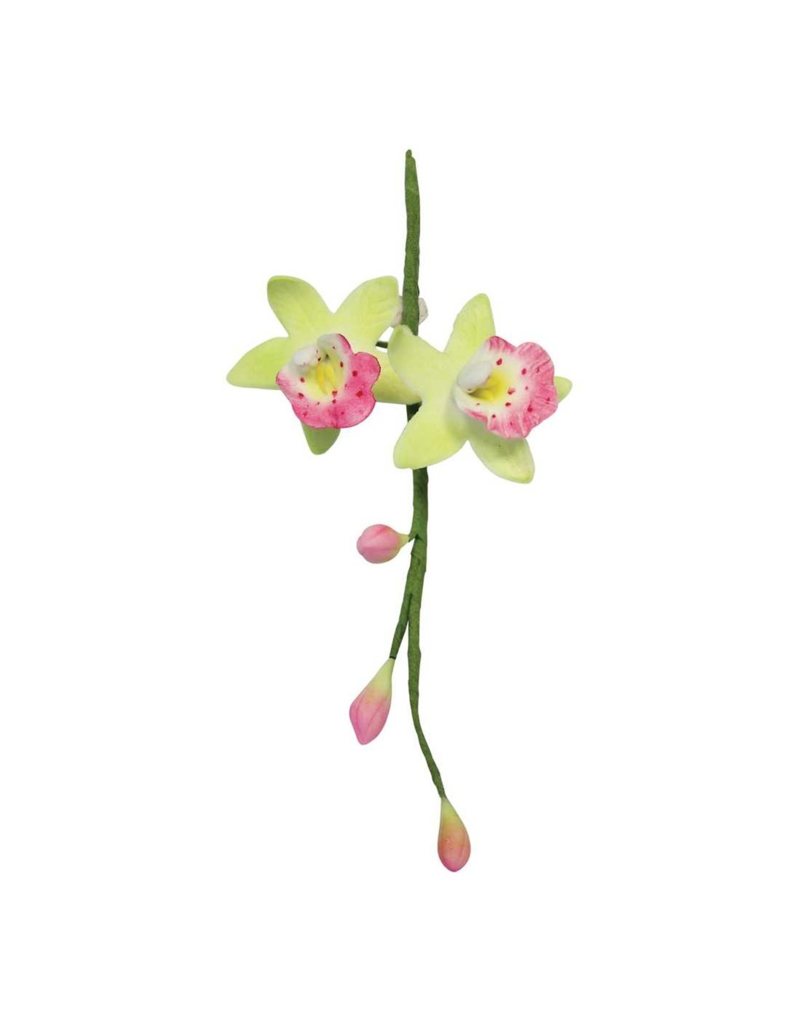 PME PME Cymbidium Orchid Flow/Petal cutter set/2 -MED-