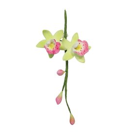 PME PME Cymbidium Orchid Flow/Petal cutter set/2 -MED-
