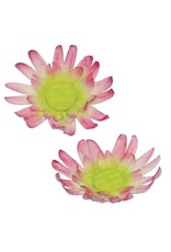 PME PME Daisy 8 Petal cutter set/2 -Small-