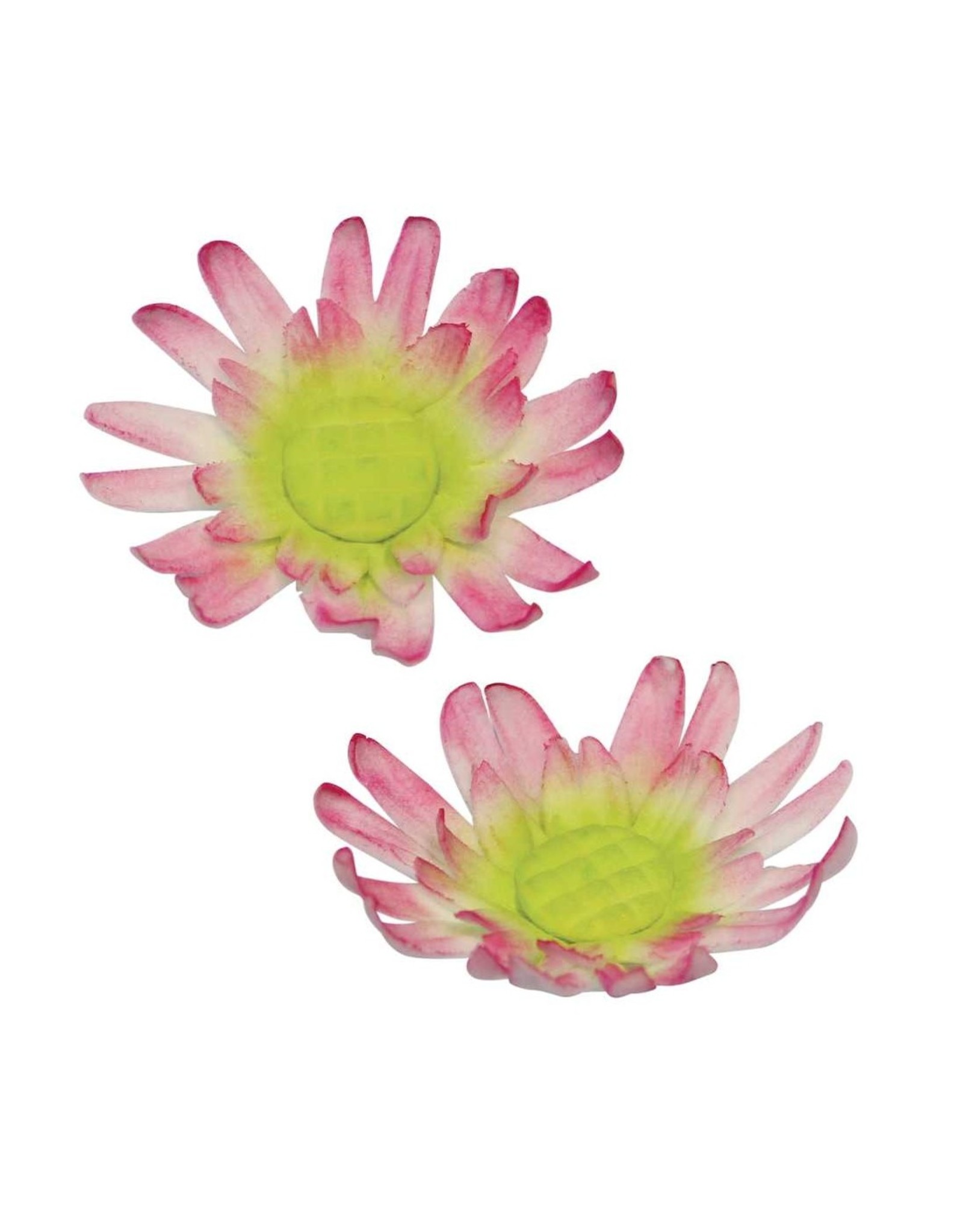 PME PME Daisy 8 Petal cutter set/2 -Medium-