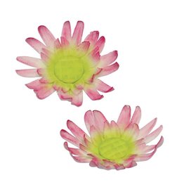 PME PME Daisy 8 Petal cutter set/2 -Medium-
