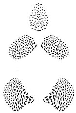 JEM JEM Orchid Dot - Stencil Set of 3