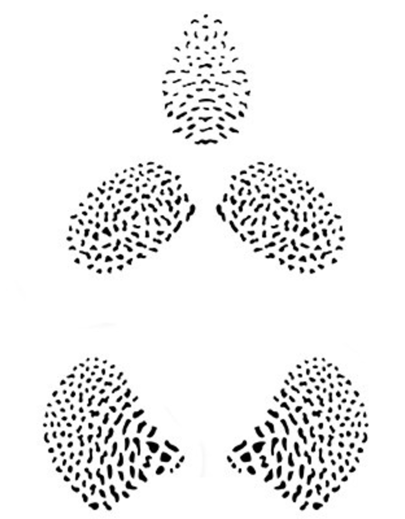 JEM JEM Orchid Dot - Stencil Set of 3