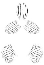 JEM JEM Orchid Stripes- Stencil Set of 3