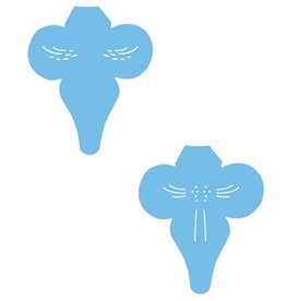 JEM JEM Orchid Labullum- Stencil Set of 2