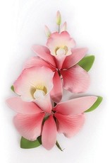 Culpitt Suikerbloem Orchidee Roze 15cm