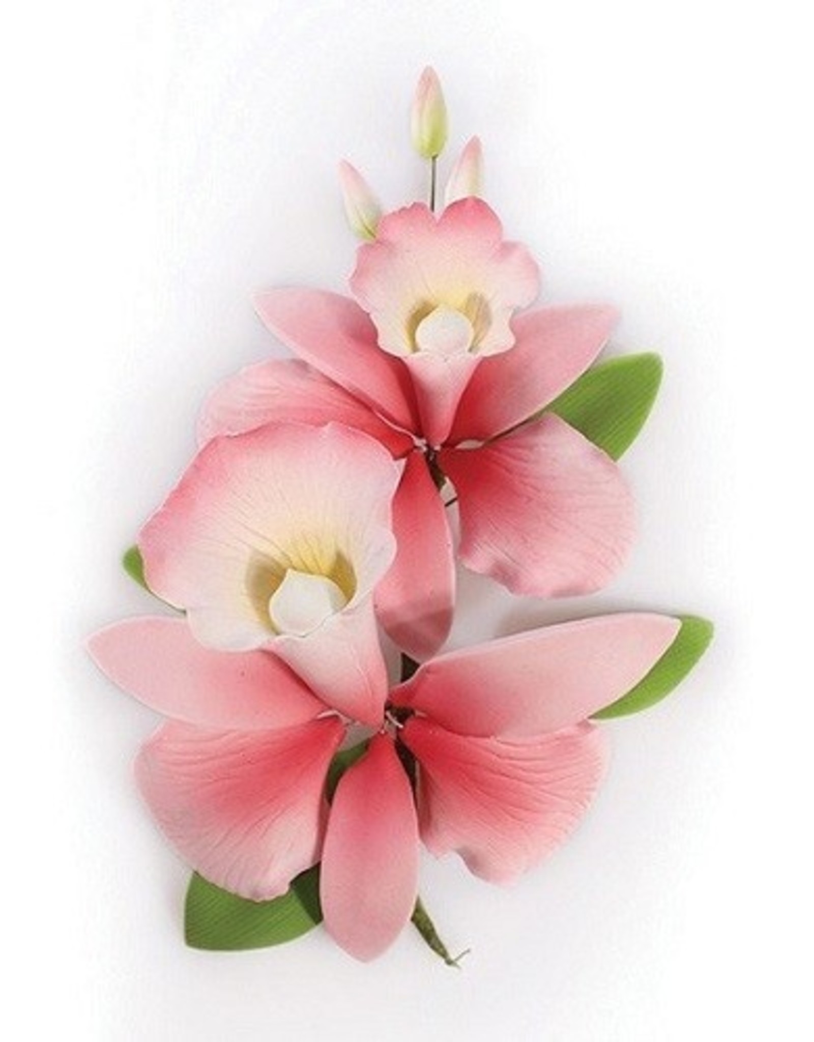 Culpitt Suikerbloem Orchidee Roze 15cm