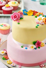 FunCakes FunCakes Rolfondant Multipack Pink Colour Palette 5x100 g