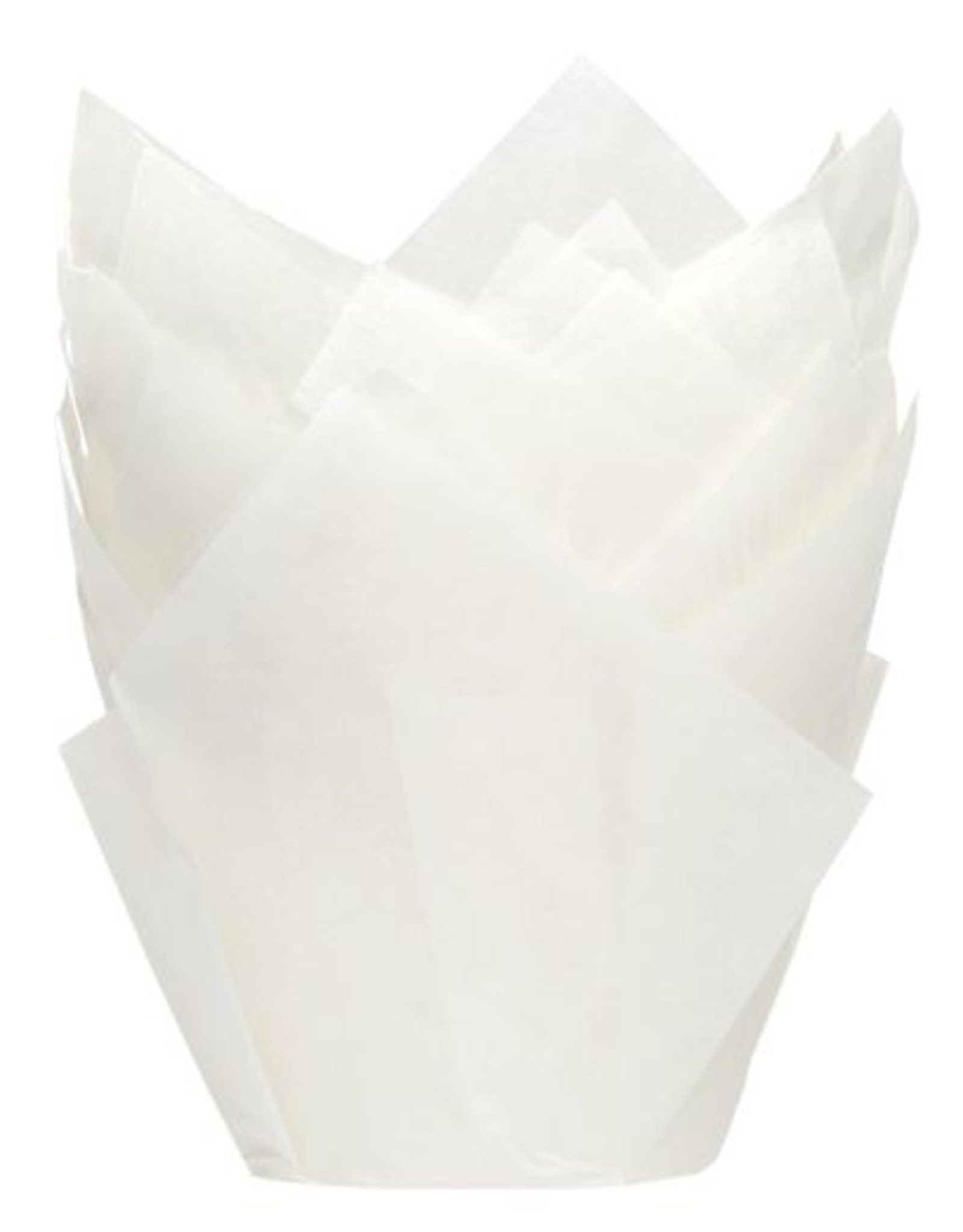 House of Marie House of Marie Muffin Cups Tulp Wit pk/36