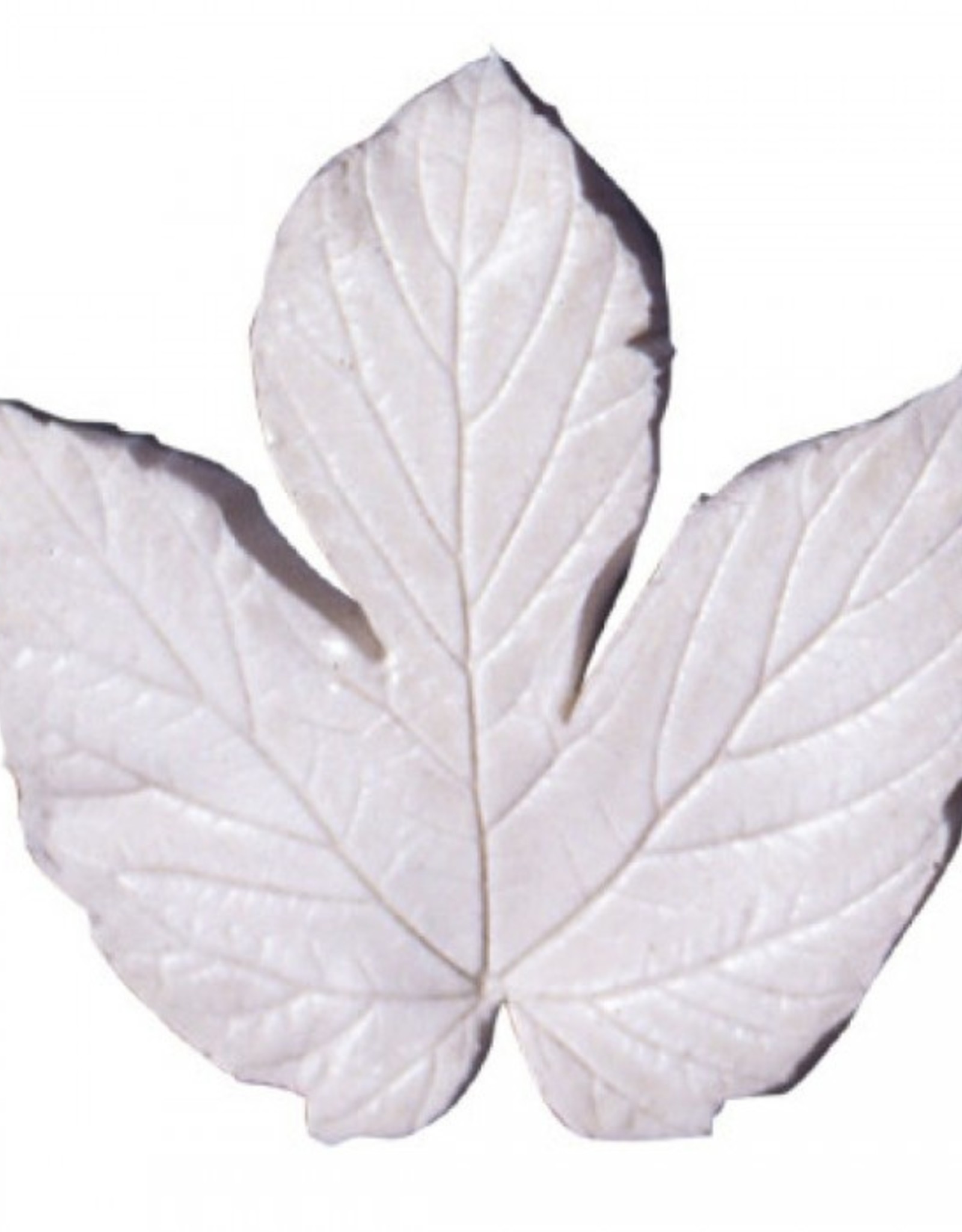 Squires Kitchen Squires Kitchen Great Impressions Leaf Veiner Hops (Humulus) VL