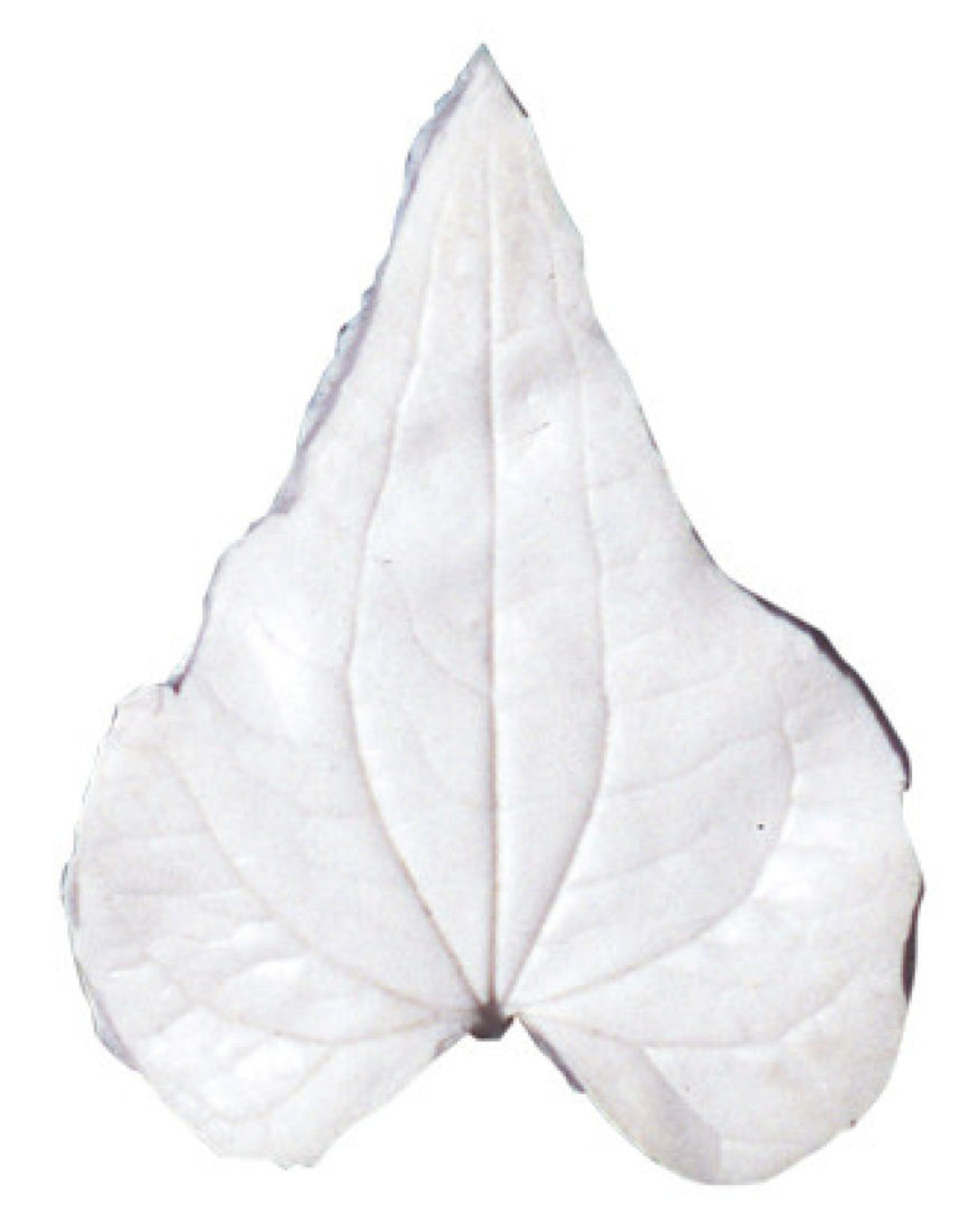 Squires Kitchen Squires Kitchen Great Impressions Leaf Veiner Bryony 7.0cm