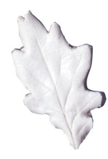 Squires Kitchen Squires Kitchen Great Impressions Leaf Veiner Oak4.5cm