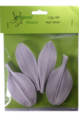 Aldaval Veiners Aldaval Lily petal Veiner Set  3.5 x 9.7cm and 4.9 x 9.4cm