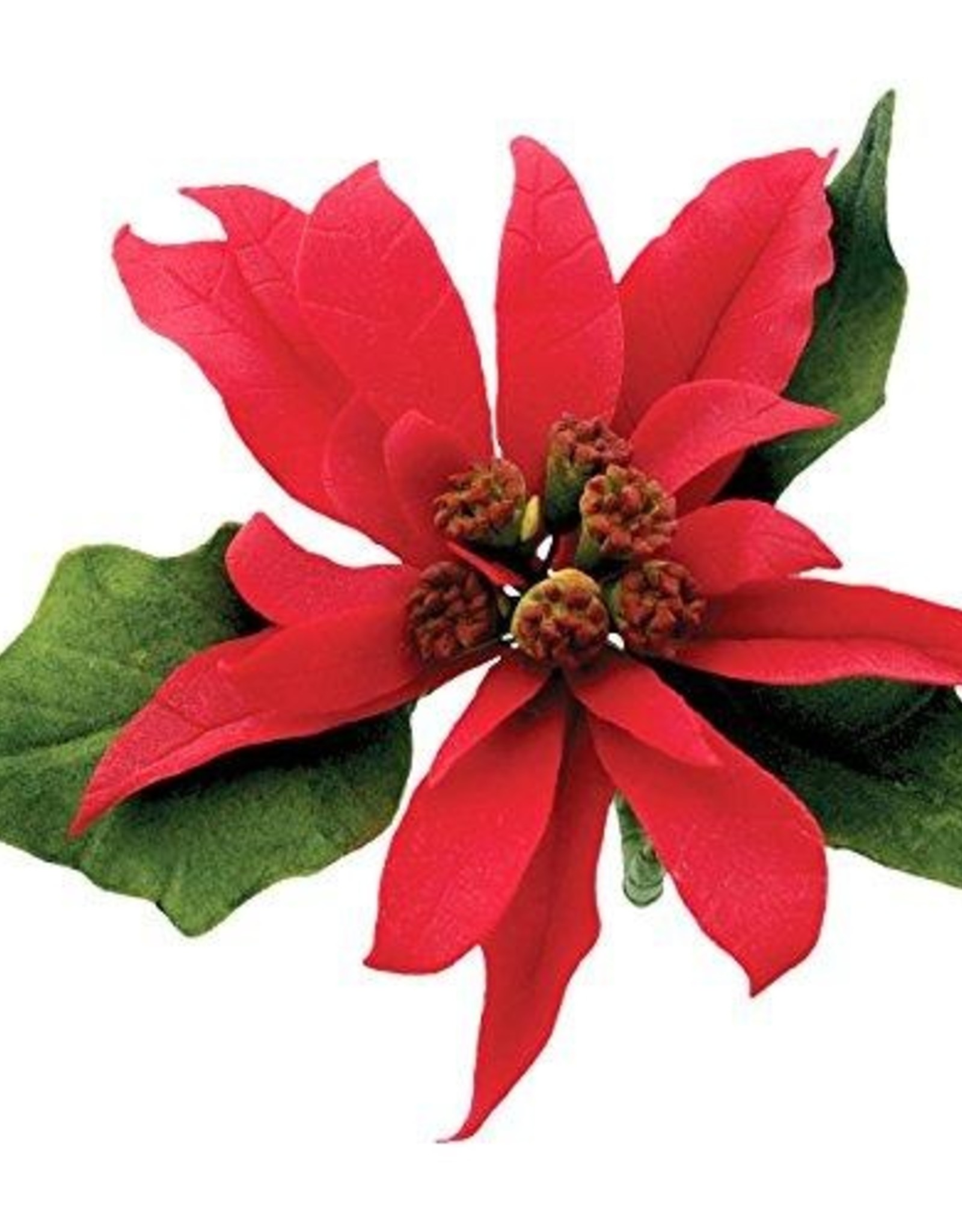 JEM JEM Poinsettiea Cutter