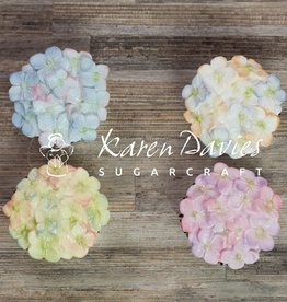 Karen Davies KD - Hydrangea