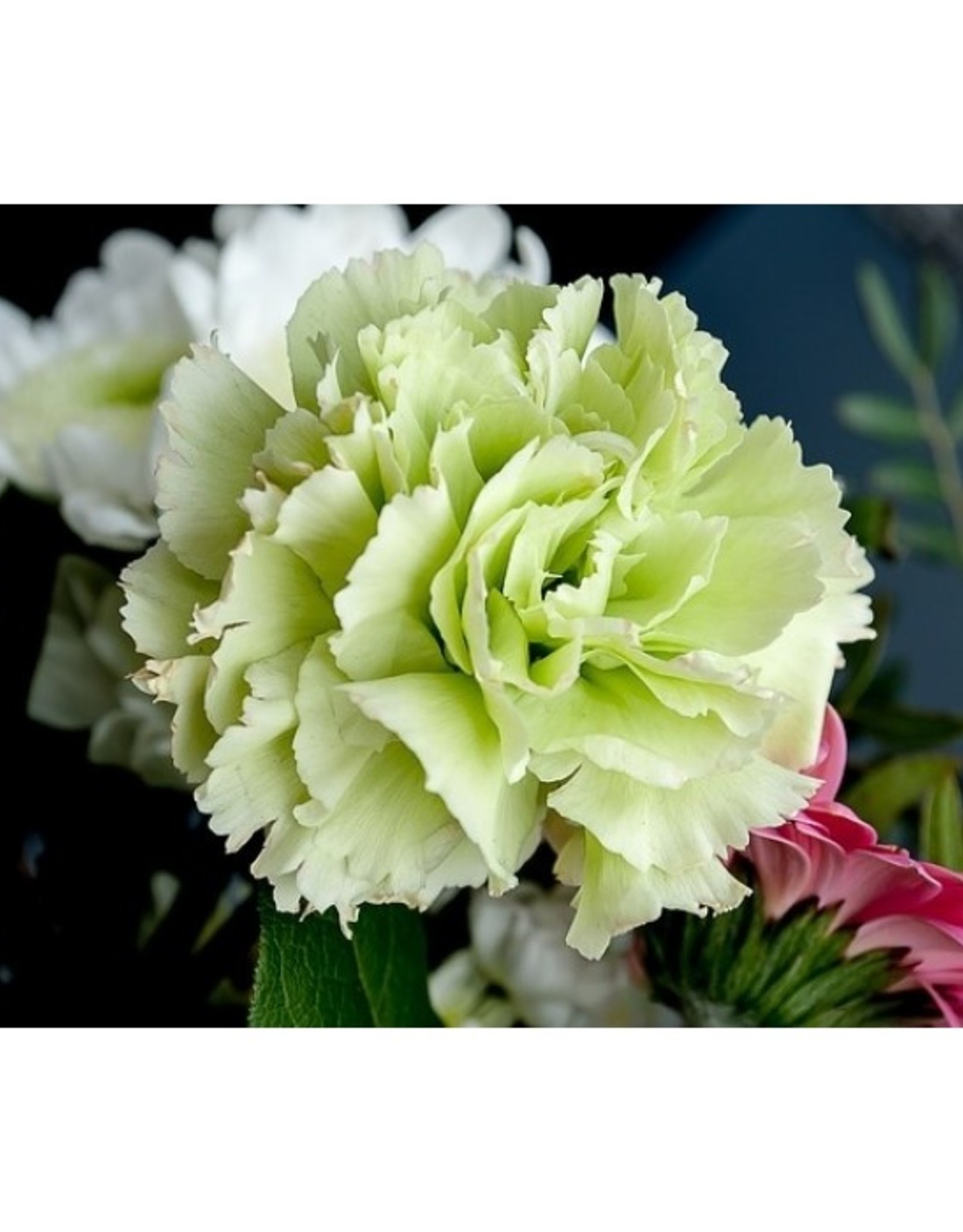 Framar Cutters Framar Cutters Carnation Set/3