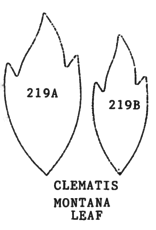 Framar Cutters Framar Cutters Clematis Montana Leaf Set/2