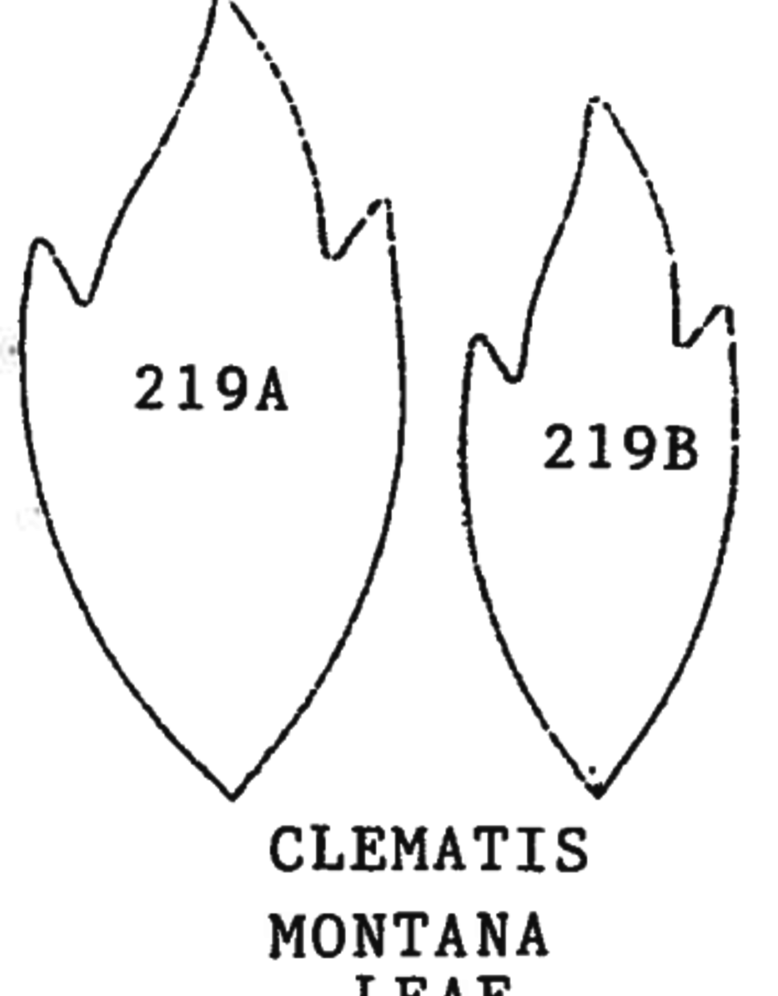 Framar Cutters Framar Cutters Clematis Montana Leaf Set/2