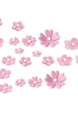 JEM JEM Baby/Daisy Blossom & Primula set/10