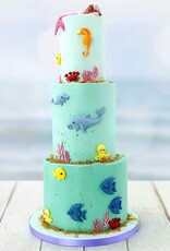 Katy Sue Designs Katy Sue Fun Fish Siliconen mal