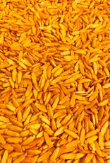 Sprinklelicious Sprinklelicious Carrots - Wortels