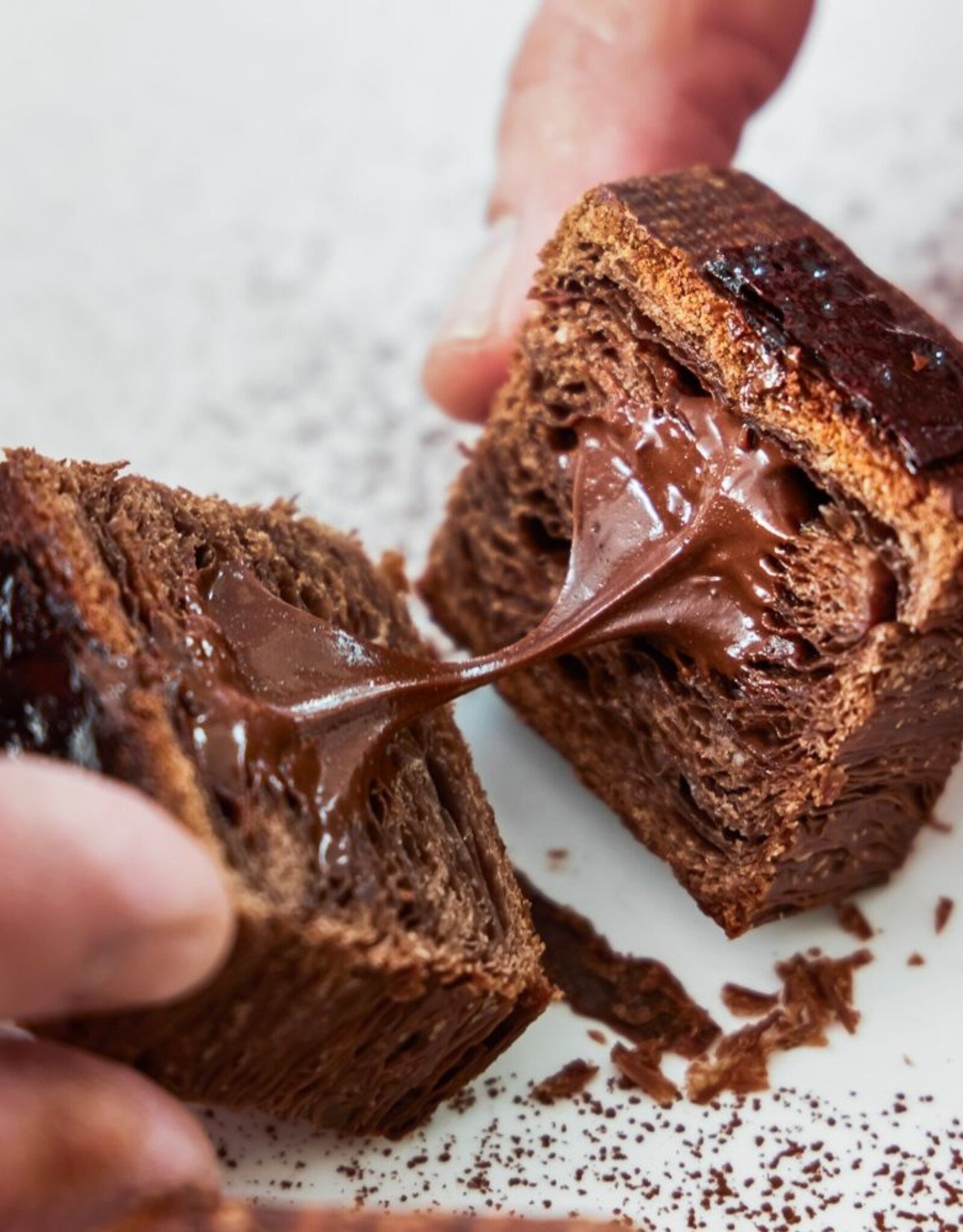 Callebaut Cacao Barry Zestina Plein Arôme Cacaopoeder (100%) 1kg