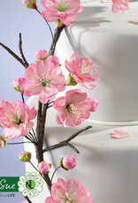 Katy Sue Designs Katy Sue Mould & Veiner Flower Pro Blossoms
