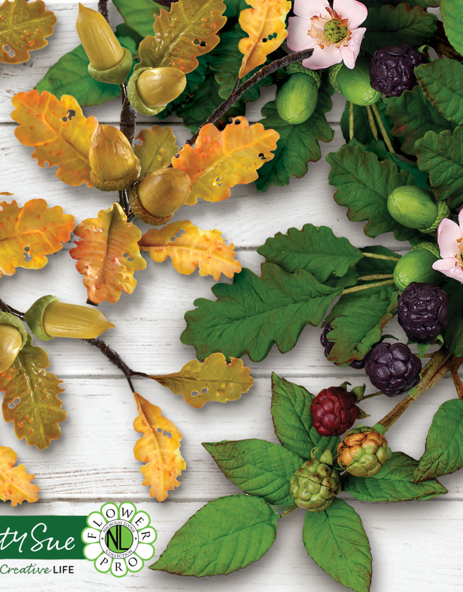 Katy Sue Designs Katy Sue Mould Blackberry & Oak leaves