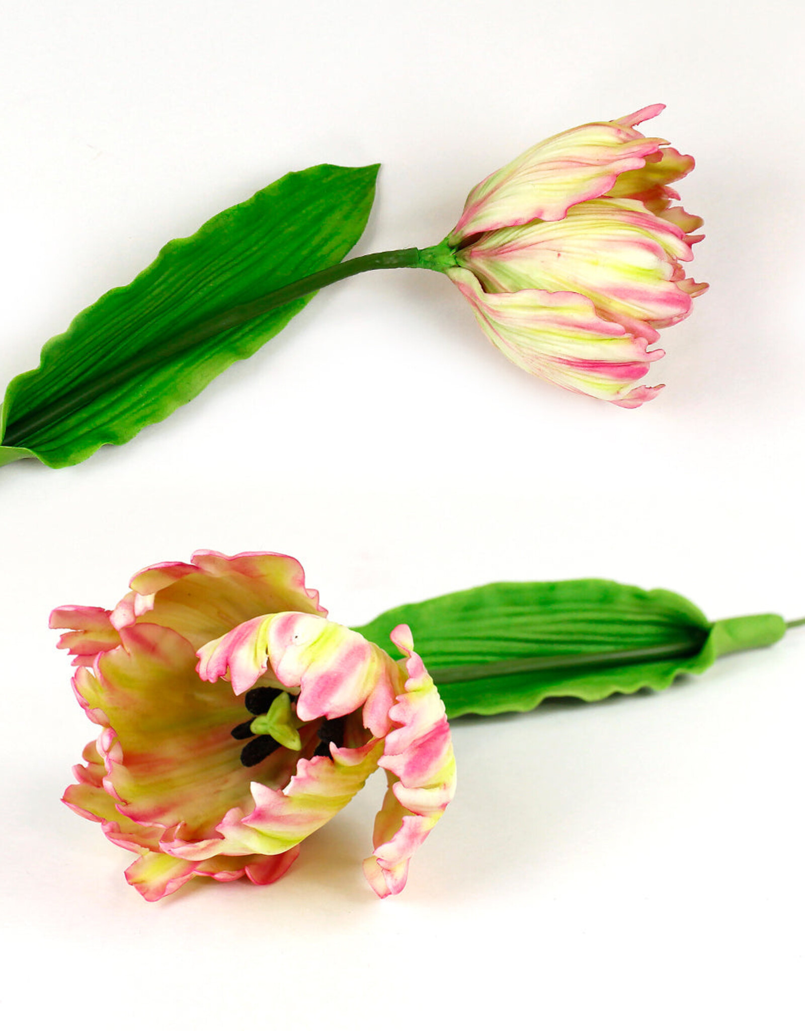 Katy Sue Designs Katy Sue Mould & Veiner Peony / Tulip
