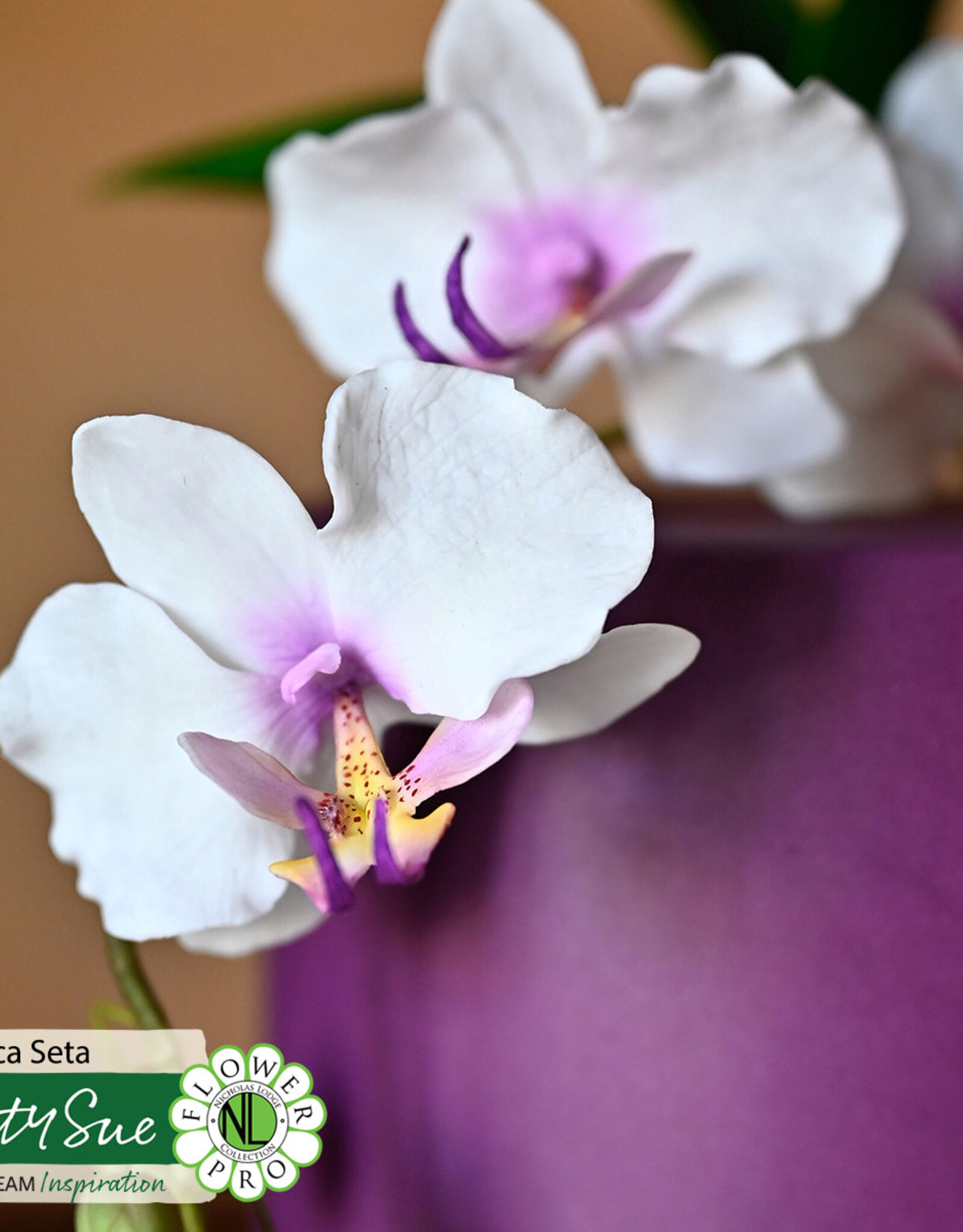 Katy Sue Designs Katy Sue Mould & Veiner Ultimate Orchids