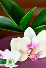 Katy Sue Designs Katy Sue Mould & Veiner Ultimate Orchids