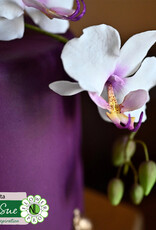 Katy Sue Designs Katy Sue Mould & Veiner Ultimate Orchids