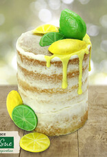Katy Sue Designs Katy Sue Mould Citrusvrucht