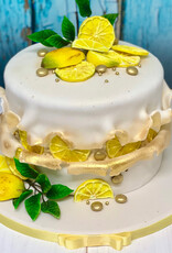 Katy Sue Designs Katy Sue Mould Citrusvrucht
