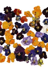 Overig Eetbare Gedroogde Viooltjes (50 stuks)