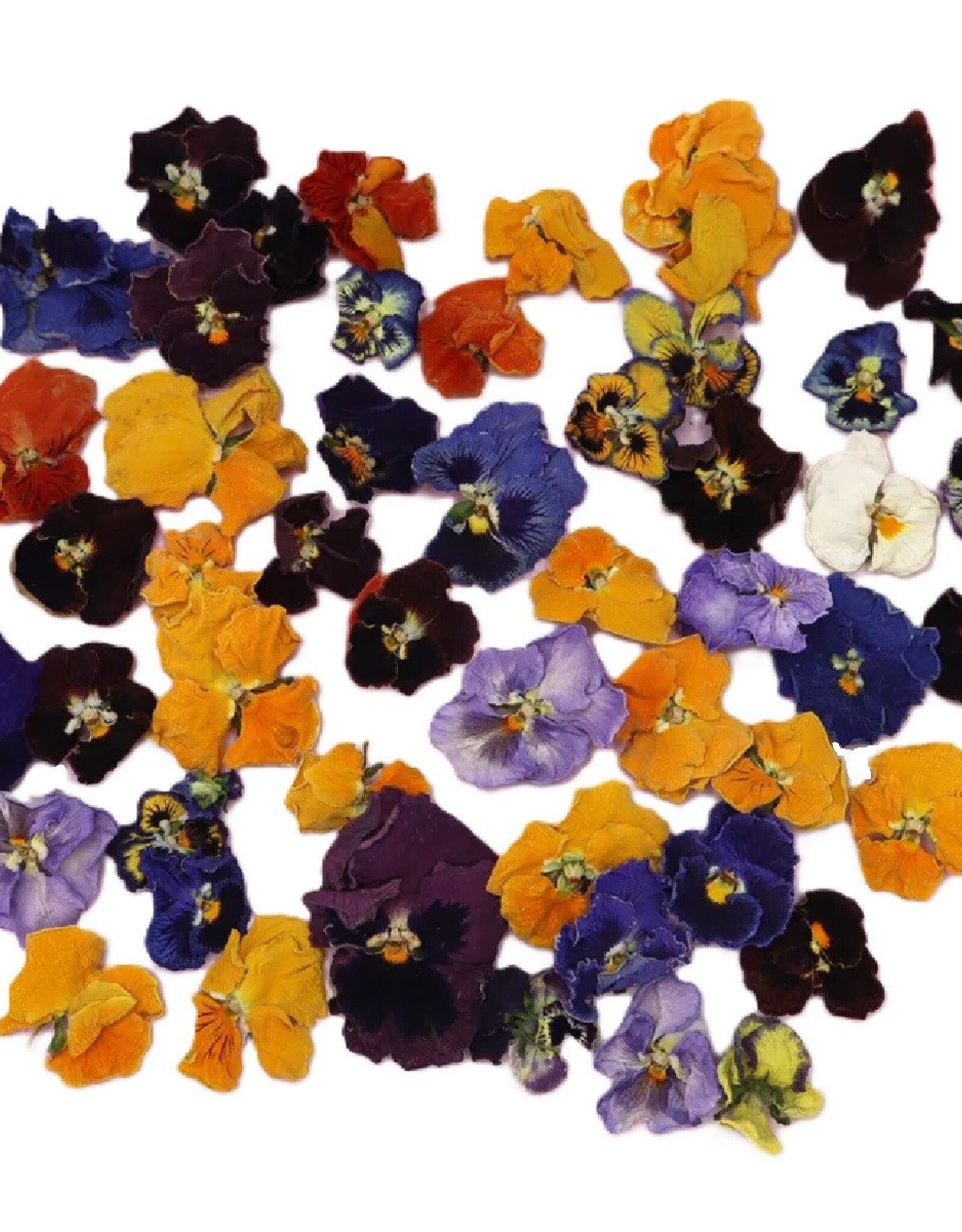 Overig Eetbare Gedroogde Viooltjes (50 stuks)