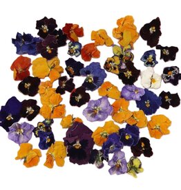 Overig Eetbare Viooltjes (50 stuks)