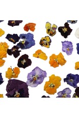 Overig Eetbare Gedroogde Viooltjes (50 stuks)