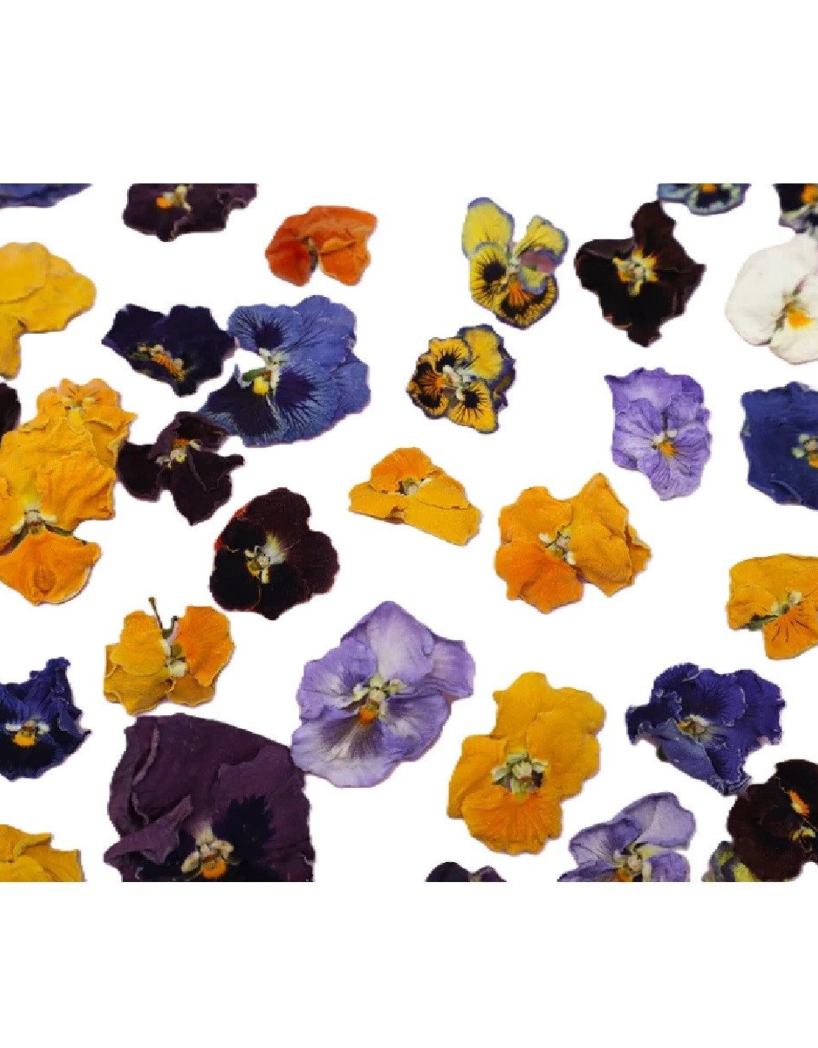 Overig Eetbare Gedroogde Viooltjes (50 stuks)