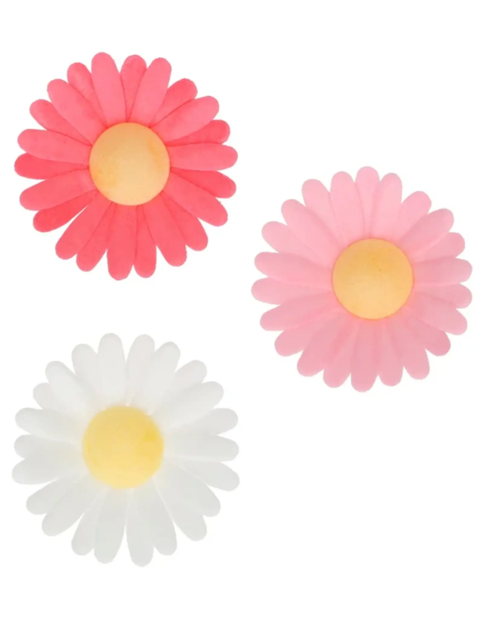 FunCakes FunCakes Eetbare Papieren Bloemen Madelief pk/13